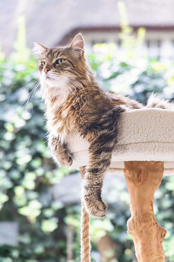 Designed by Lotte Kratzbaum Vilja